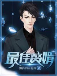 最佳赘婿免费观看完整版