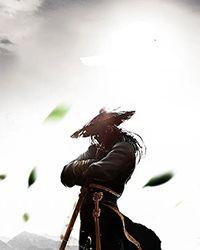 南明太子复仇录