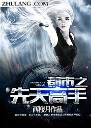 主角是先天高手