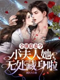 全球追妻令!小夫人她无处藏身啦 颜久久