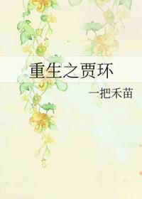 重生之贾环平淡一生